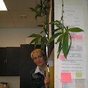 ���� �������, ������, 54 ���� - ��������� 30 ����� 2016