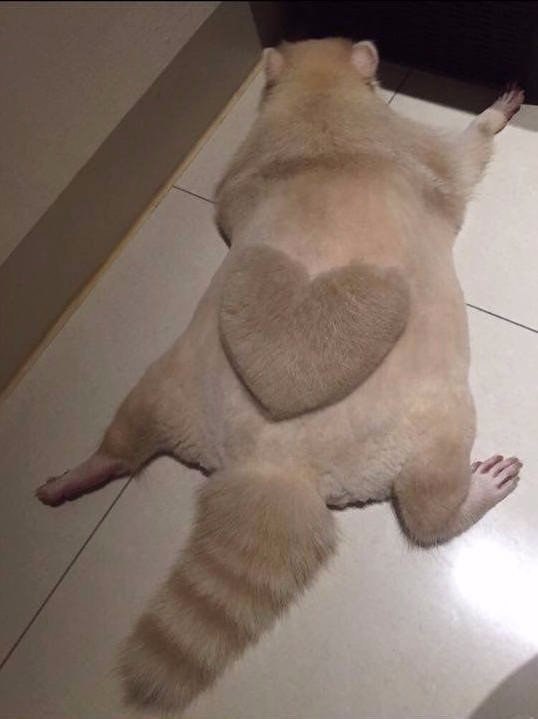        ,       ! ... - 6