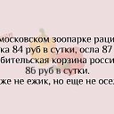 ���� ����, ������-������� - ��������� 13 ���� 2016 � ������ ������ ��������
