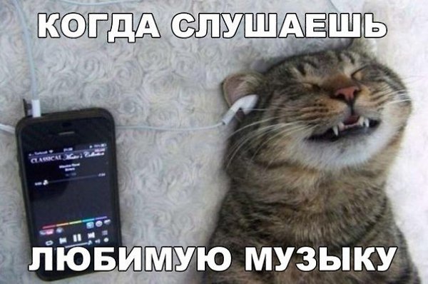    :D - 1  2016  20:37
