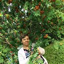 ���� �����, ������ - ��������� 25 ���� 2016 � ������ ���� ����������