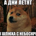  !!!, , 46  -  14  2016