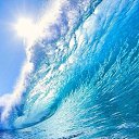 ���� ���������, ������, 33 ���� - ��������� 22 ��� 2016