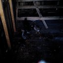 ���� �����, ������, 37 ��� - ��������� 6 ������� 2016 � ������ ������ ��������