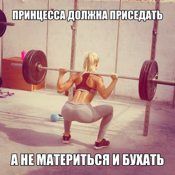,   ,   )