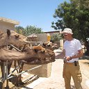  , -, 44  -  25  2016    