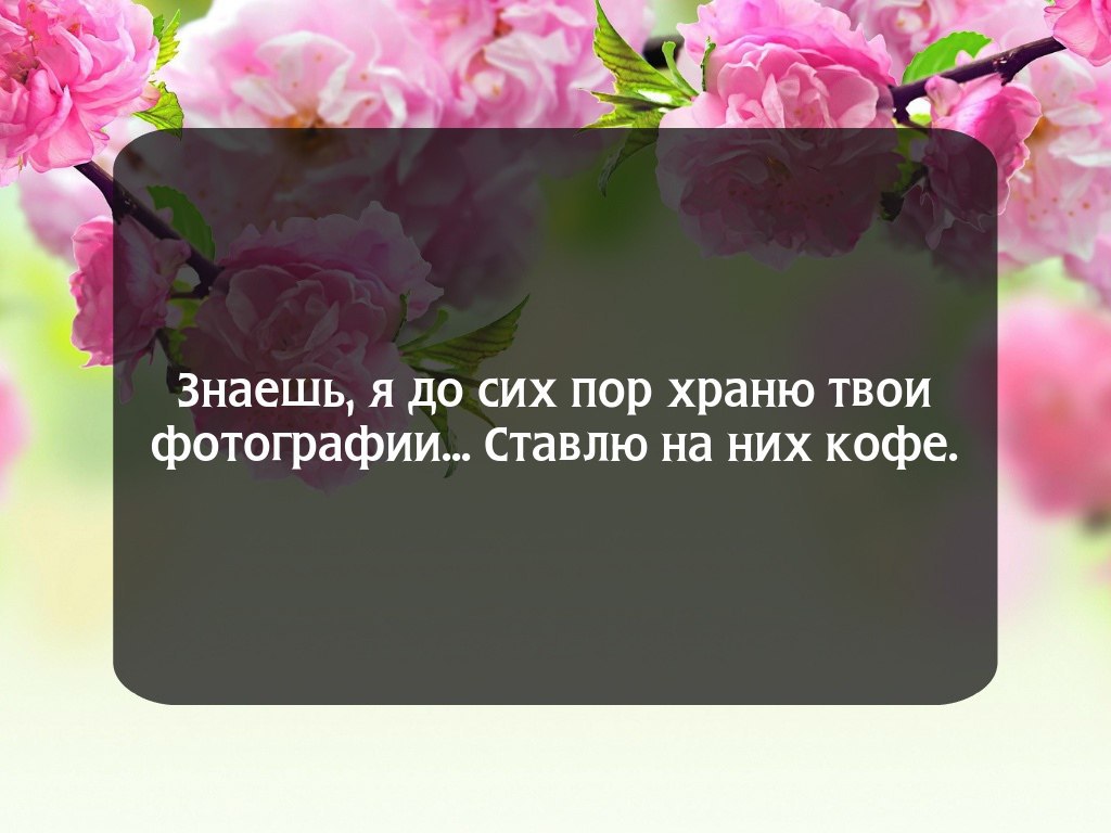 , ,  - 16  2016  01:38
