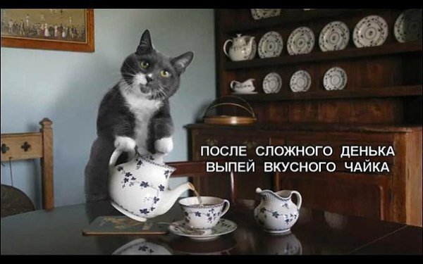       - 11  2016  22:23