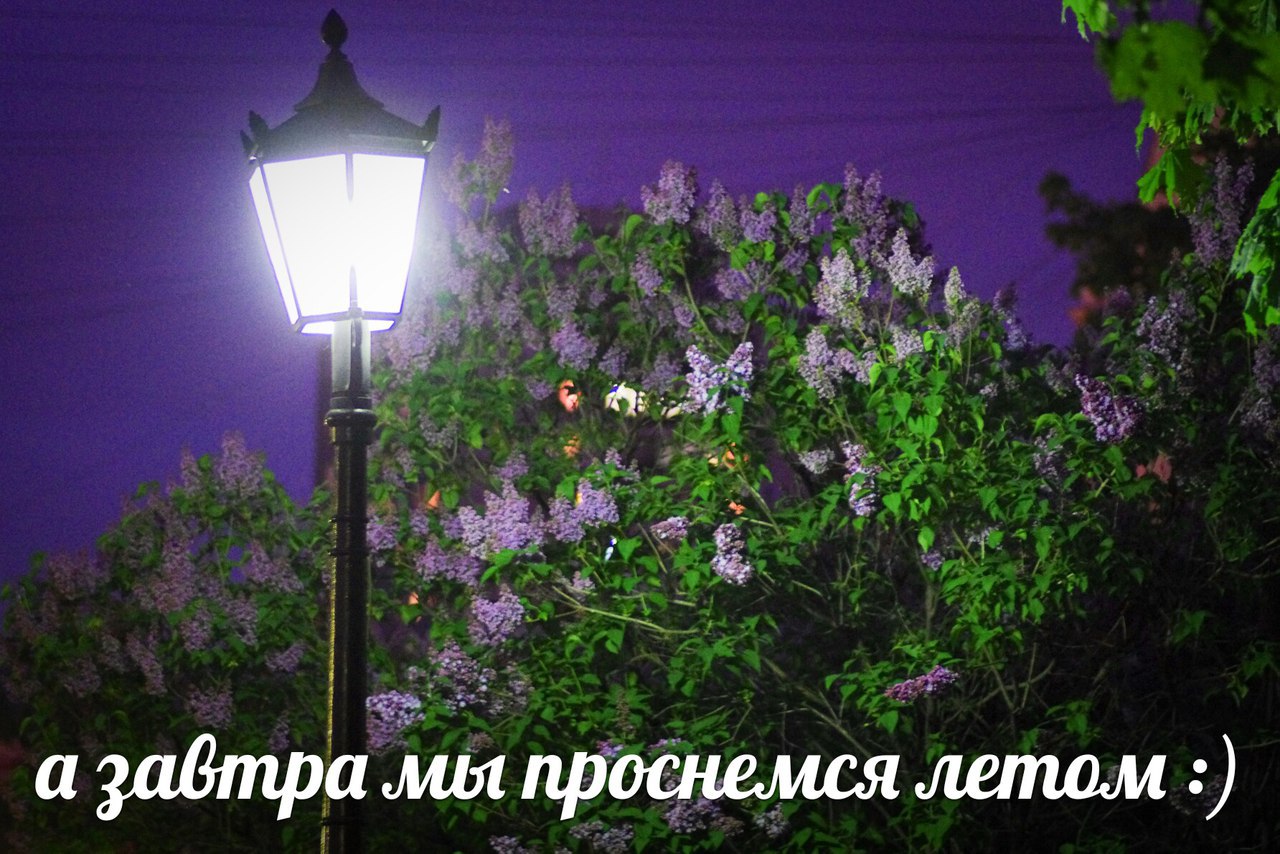 Эхом лето кричит: "Встречай!" За окошком танцуют тени... А со мной прощается май - ...