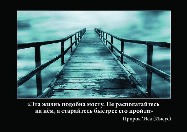    - 25  2016  01:15