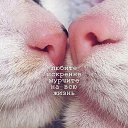 ���� ����, ��������, 36 ��� - ��������� 16 ���� 2016 � ������ ������ ��������