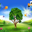  Mariq,  -  1  2016    -