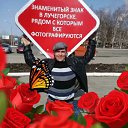 ���� ����, �������������, 41 ��� - ��������� 31 ��� 2016 � ������ ���� ����������