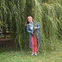 ���� �������, ������ - ��������� 1 ������ 2016 � ������ ���� ����������