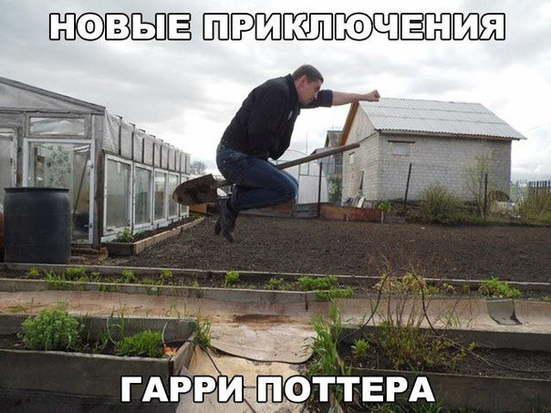    :D - 10  2016  07:34
