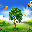   (    ), , 70  -  2  2016    -