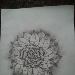 ���� ��, ��������, 35 ��� - ��������� 25 ���� 2016