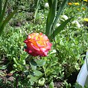 ���� Yusoup, ������, 70 ��� - ��������� 12 ���� 2016 � ������ ���� ����������