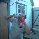  , , 40  -  4  2016      2010