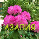 ���� ������� ����, ������, 68 ��� - ��������� 15 ���� 2016 � ������ ������ ��������