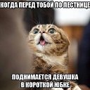 ���� �����, ������, 57 ��� - ��������� 18 ������ 2016 � ������ ���� ����������