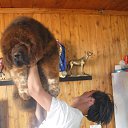 ���� Amgaa Kharsor, ����-�����, 52 ���� - ��������� 17 ���� 2016 � ������ ���� ����������