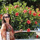 ���� ����, ��������� - ��������� 11 ���� 2016 � ������ ���� ����������