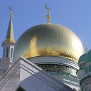 ���� Ramil, ������, 39 ��� - ��������� 30 ���� 2016 � ������ ������� �������