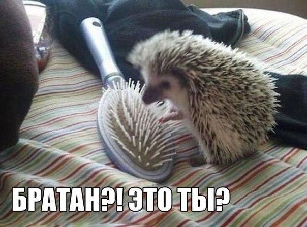    :D - 19  2016  08:09