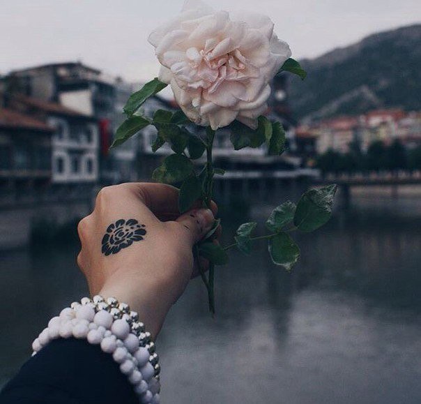   ,   ...