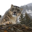 ���� ��������, ��������, 54 ���� - ��������� 13 ����� 2016 � ������ ������ ��������