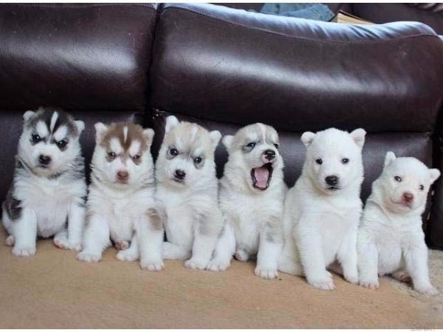      :)