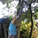 ���� �����, ������ - ��������� 24 ������� 2016 � ������ ������ ��������