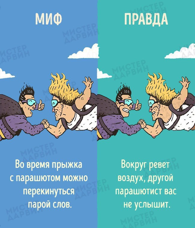 10 ,     - . - 3