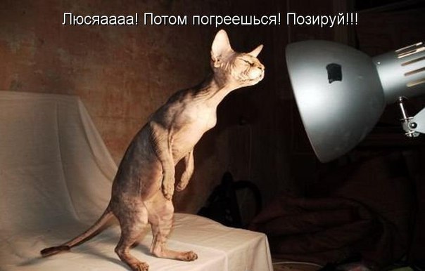    - 20  2016  11:11
