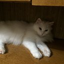 ���� ���������, ����, 53 ���� - ��������� 30 ���� 2016 � ������ ���� ����������