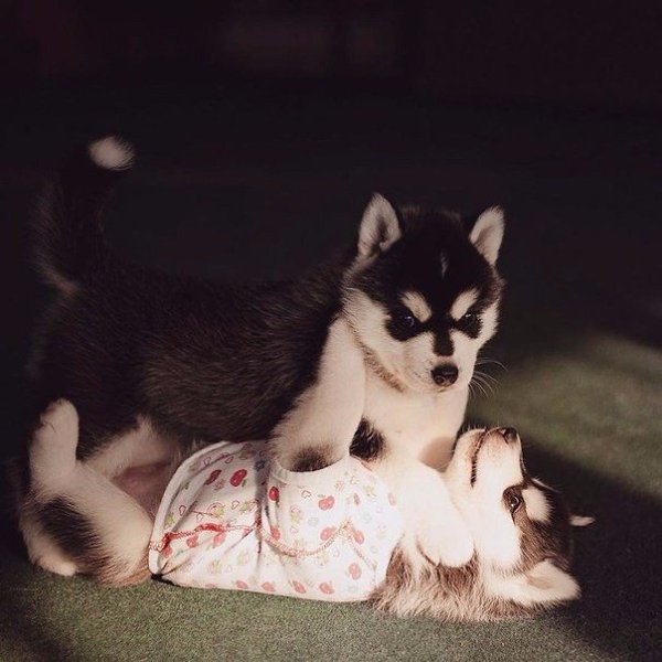 ,    .      ,   , ... - 7