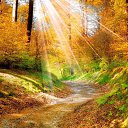 ���� ��������, �������, 73 ���� - ��������� 10 �������� 2016 � ������ ������ ��������