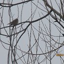 ���� ����������, ������, 58 ��� - ��������� 4 ������ 2016 � ������ �������