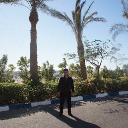 ����, ����, 53 ����