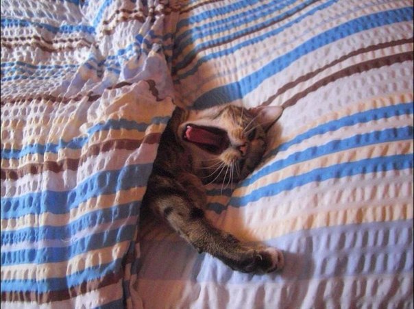 ��� ����, ��� ���������, ��� � ����� �� ��������: