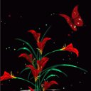 ���� Andre, ������ - ��������� 7 ���� 2016 � ������ ���� ����������