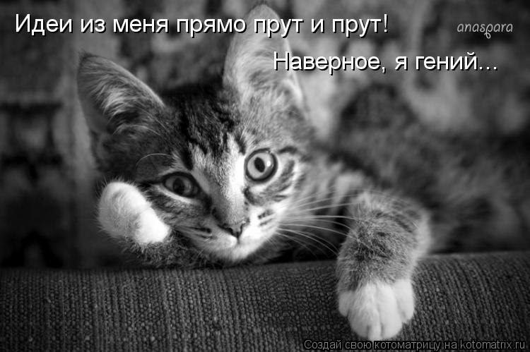   - 7  2016  22:58