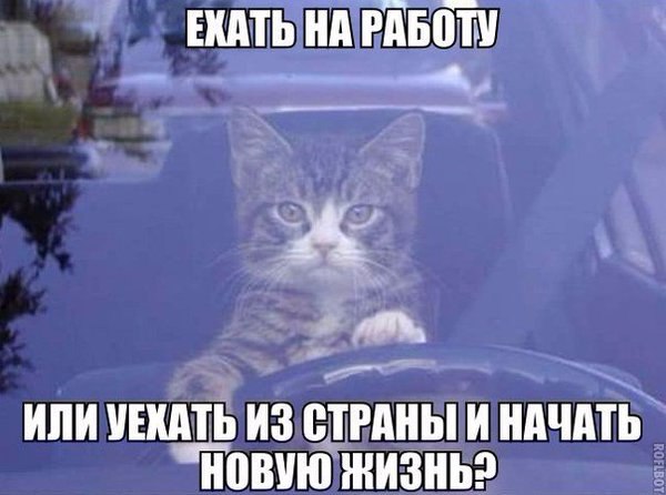   - 9  2016  08:37