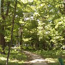 ���� �����, ������, 59 ��� - ��������� 9 ���� 2016 � ������ ���� ����������