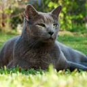 ���� Andrey, ������, 43 ���� - ��������� 17 ������ 2016 � ������ ������