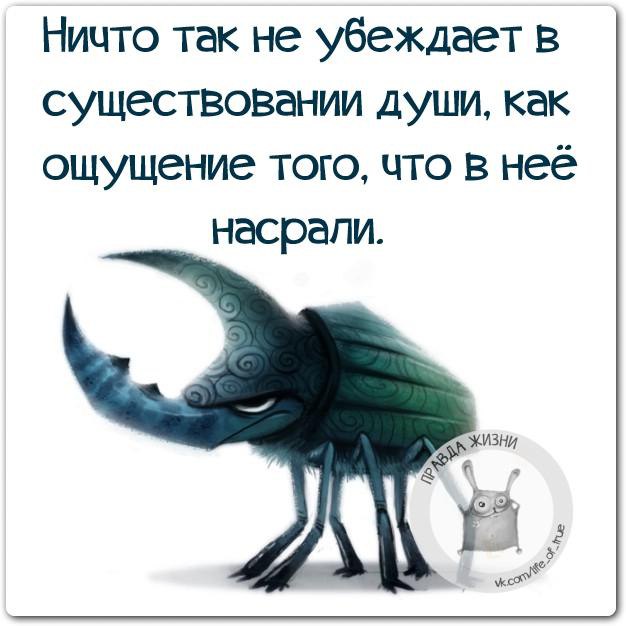   - 23  2016  13:18