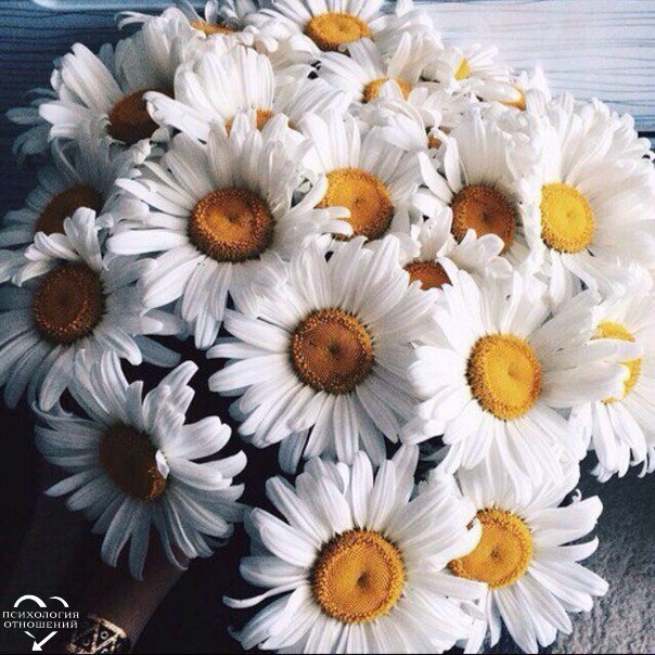 ������ ��� ������� ���������� ������ ������ �������...