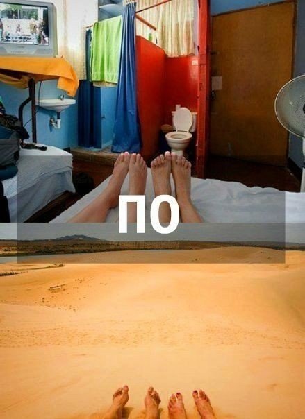  |  |   5 - 8  2016  05:51 - 4