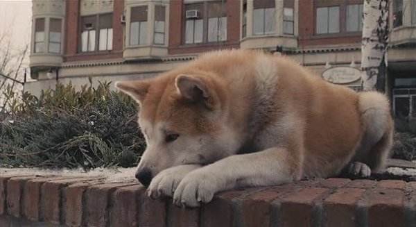 Ты знаешь, что ничего не изменится, но почему-то все равно продолжаешь ждать.